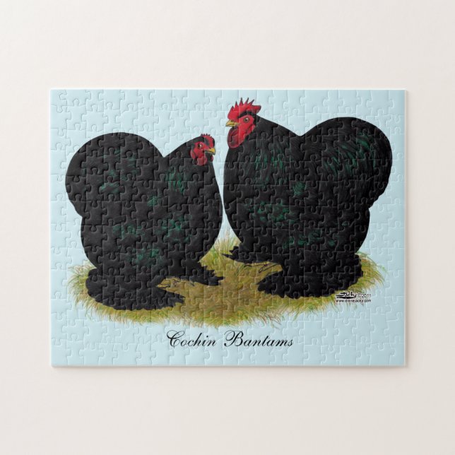 Cochins Black Bantam Pair Jigsaw Puzzle (Horizontal)