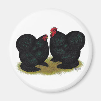 Cochins Black Bantam Pair Magnet