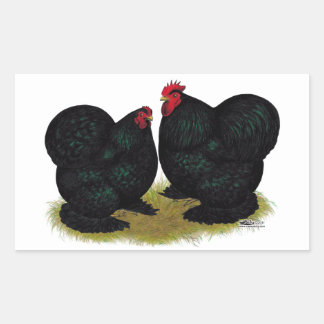 Cochins Black Bantam Pair Rectangular Sticker