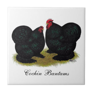 Cochins Black Bantam Pair Tile
