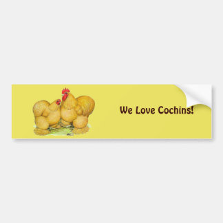 Cochins Buff Pair Bumper Sticker