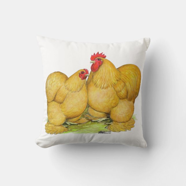Cochins Buff Pair Cushion (Front)