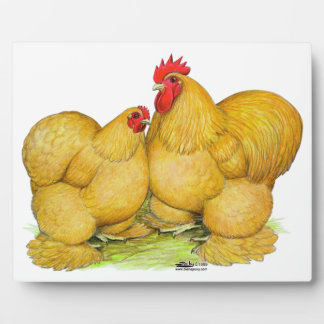 Cochins Buff Pair Plaque