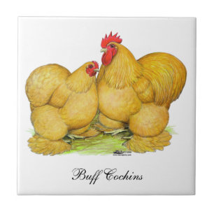 Cochins Buff Pair Tile