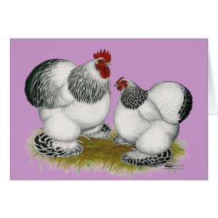 Cochins: Columbian Bantams