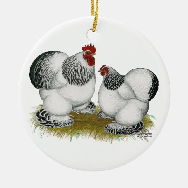 Cochins:  Columbian Bantams Ceramic Tree Decoration (Front)