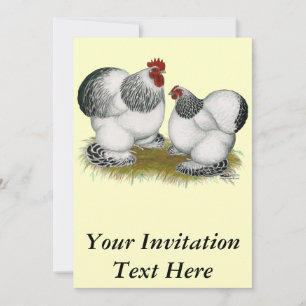 Cochins:  Columbian Bantams Invitation