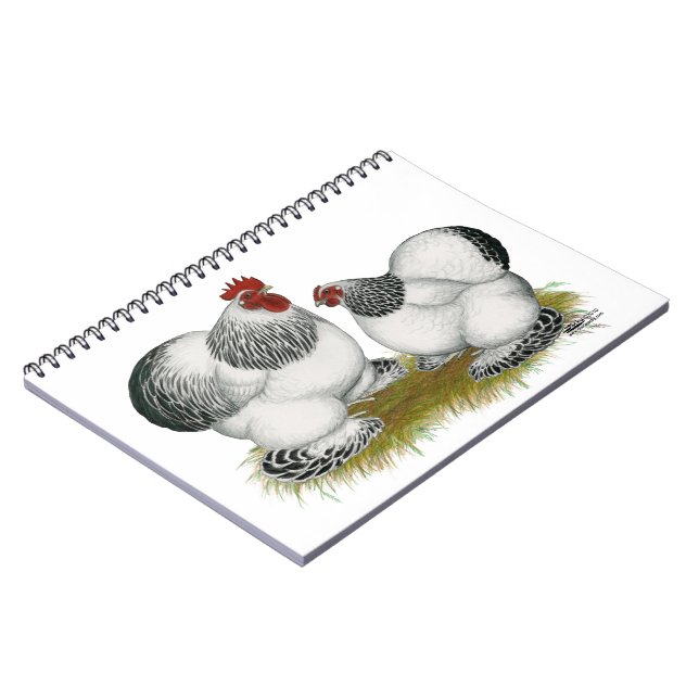 Cochins:  Columbian Bantams Notebook (Left Side)