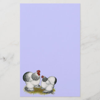 Cochins: Columbian Bantams Stationery
