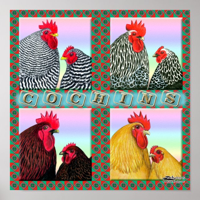 Cochins Four Colours Poster (Front)