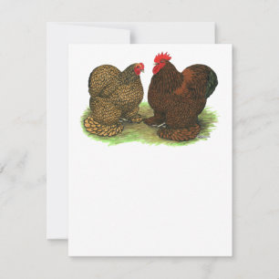Cochins: Golden-laced