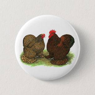 Cochins:  Golden-laced 6 Cm Round Badge
