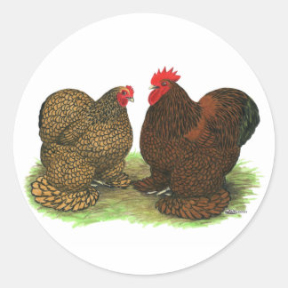 Cochins: Golden-laced Classic Round Sticker