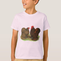 Cochins: Golden-laced