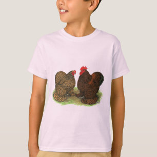 Cochins:  Golden-laced T-Shirt