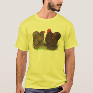 Cochins:  Golden-laced T-Shirt