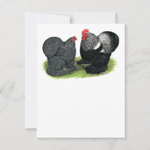 Cochins: Silver-penciled