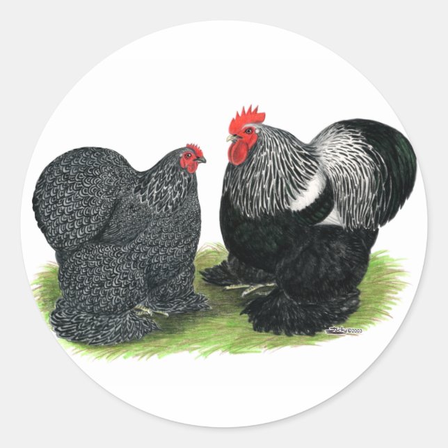 Cochins:  Silver-penciled Classic Round Sticker (Front)
