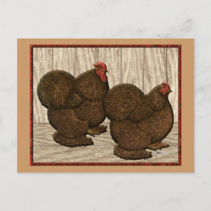 Cochins: Textured Red Bantams Postcard