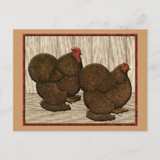 Cochins: Textured Red Bantams Postcard