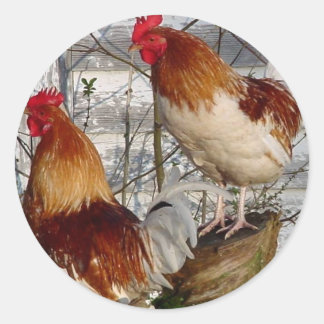 Cock-a-doodle-do Classic Round Sticker