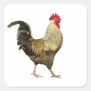 Cock-A-Doodle-Doo sheet of Stickers