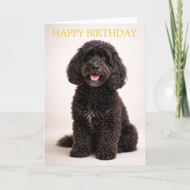 Cockapoo Birthday Card Cute Dog Minimal Design (Front)