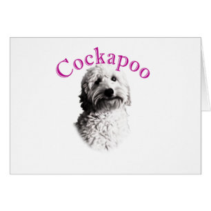 Cockapoo Dog