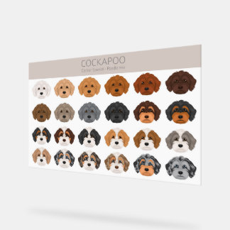 Cockapoo dog mix acrylic sign