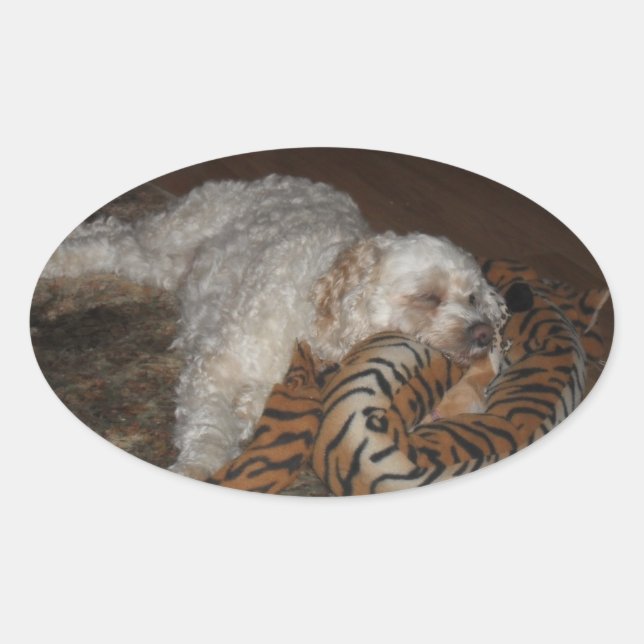 Cockapoo dog rleaxing on his tiger striped bed oval sticker (Front)