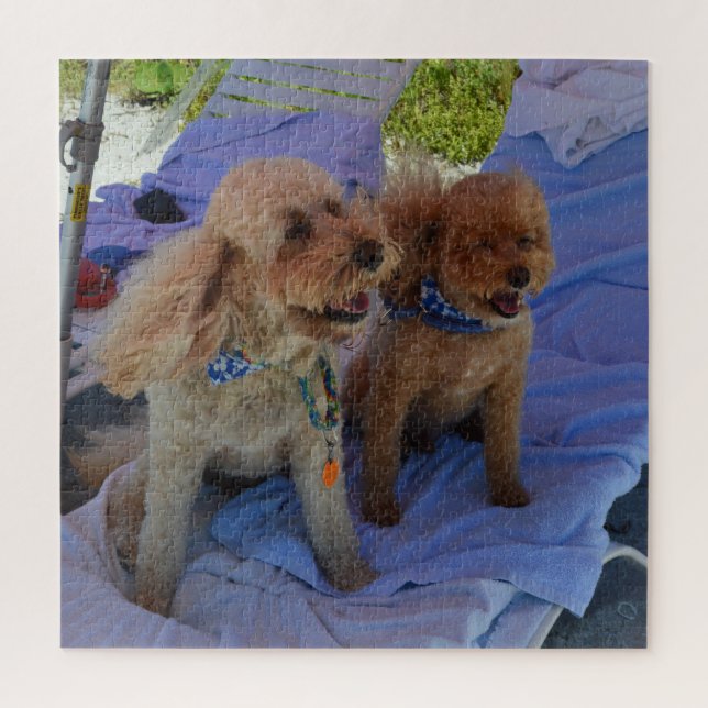 Cockapoo Dogs Enjoy Beach Vacation Photograph Jigsaw Puzzle (Vertical)