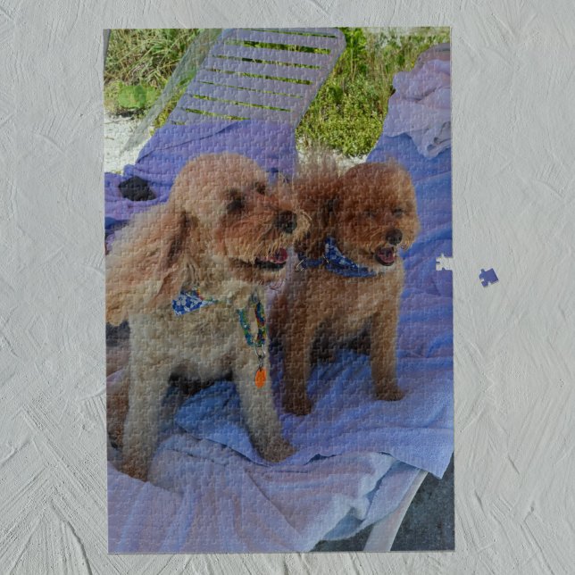 Cockapoo Dogs Tropical Beach Family Vacation Photo Jigsaw Puzzle (Creator Uploaded)