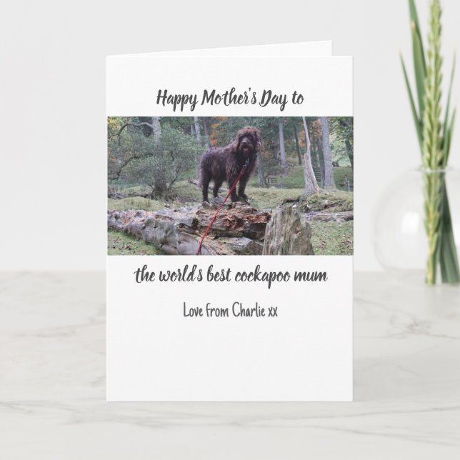 Cockapoo Mother's Day Card  (Front)