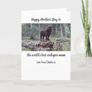 Cockapoo Mother's Day Card