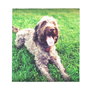 Cockapoo Notepad
