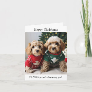 Cockapoo Puppies Christmas Card