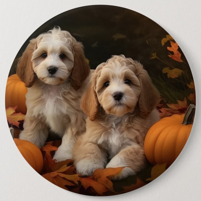 Cockapoo Puppy Autumn Delight Pumpkin  6 Cm Round Badge (Front)