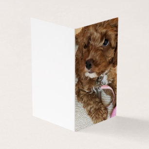 Cockapoo Puppy birthday cards.