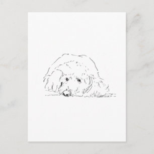 Cockapoo Puppy, Dog Lover Gift Ideas Postcard