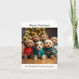 Cockapoo Puppy Litter Christmas Card