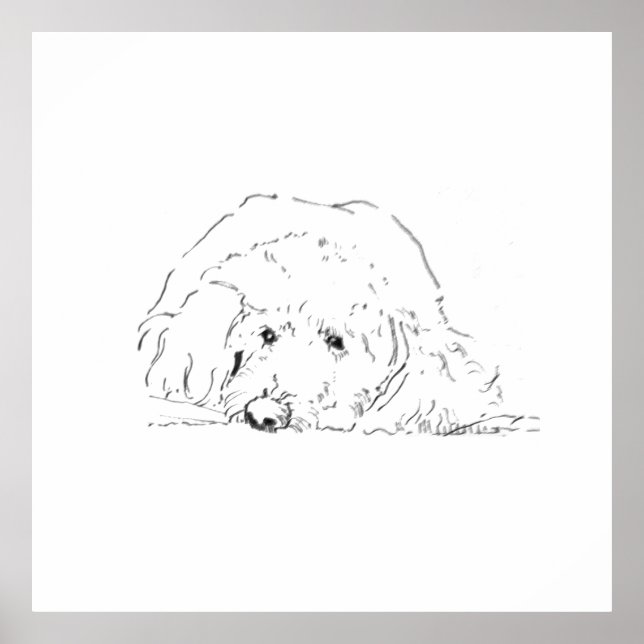 Cockapoo Puppy Poster, Dog Lover Gift Ideas Poster (Front)