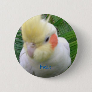 Cockatiel 6 Cm Round Badge