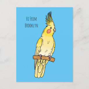 Cockatiel bird cartoon illustration  postcard
