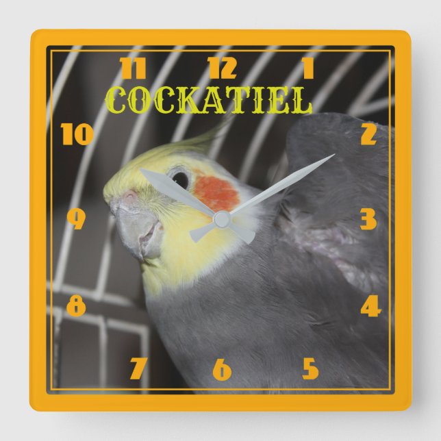 COCKATIEL closeup Square Clock (Front)