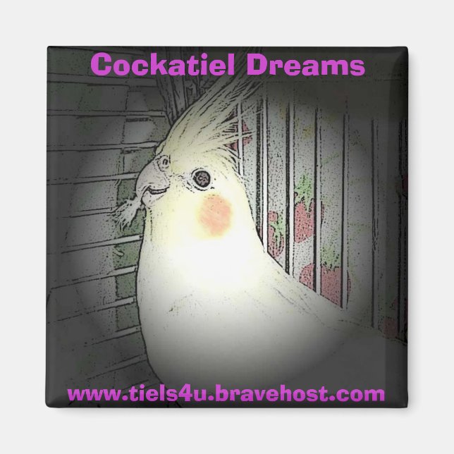 Cockatiel Dreams magnet (Front)