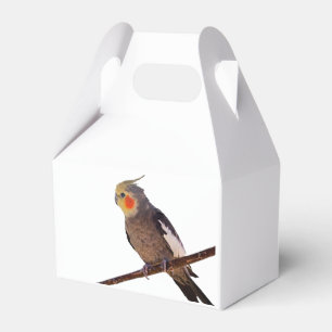 Cockatiel Grey and Yellow Pet Bird Photograph Favour Box