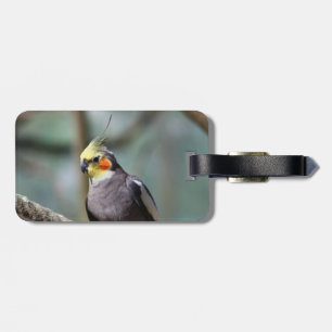 Cockatiel Luggage Tag