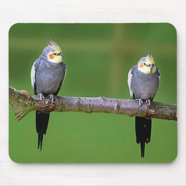 Cockatiel Mouse Pad (Front)