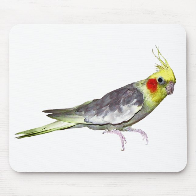 Cockatiel Mousemat (choose colour) (Front)