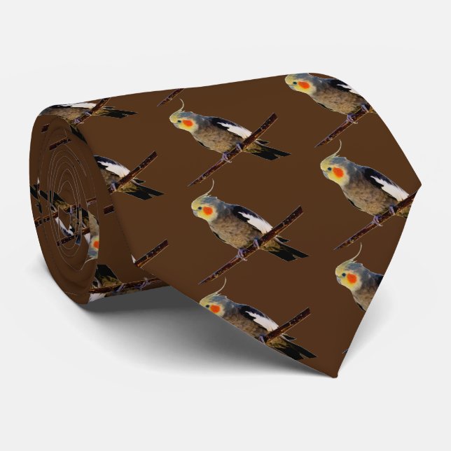 Cockatiel , Nymphicus hcus Tie (Rolled)